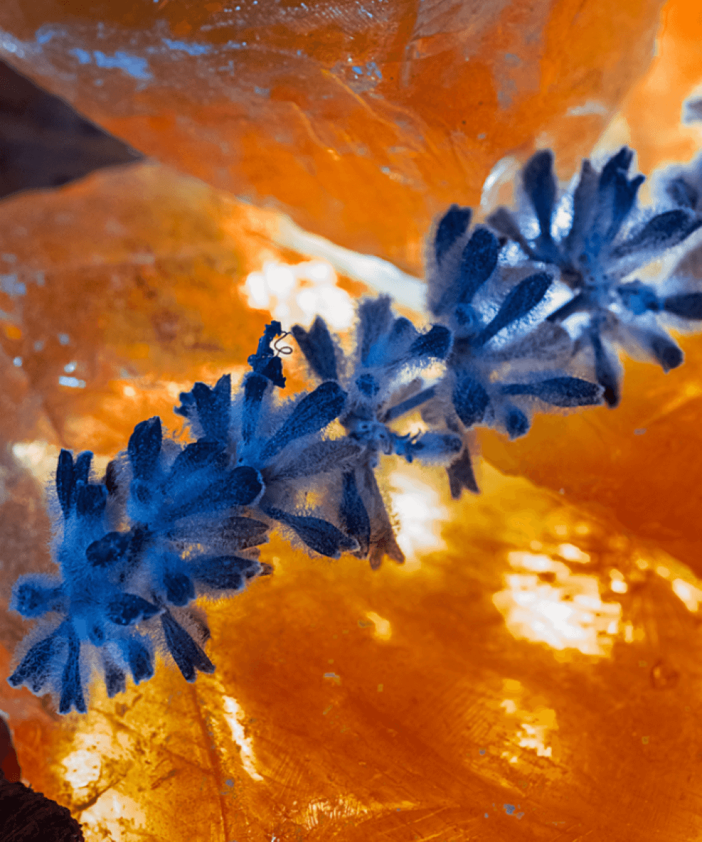 AMBRE MILLÉNAIRE 100ml Extrait de Parfum | Maissa Perfume UK