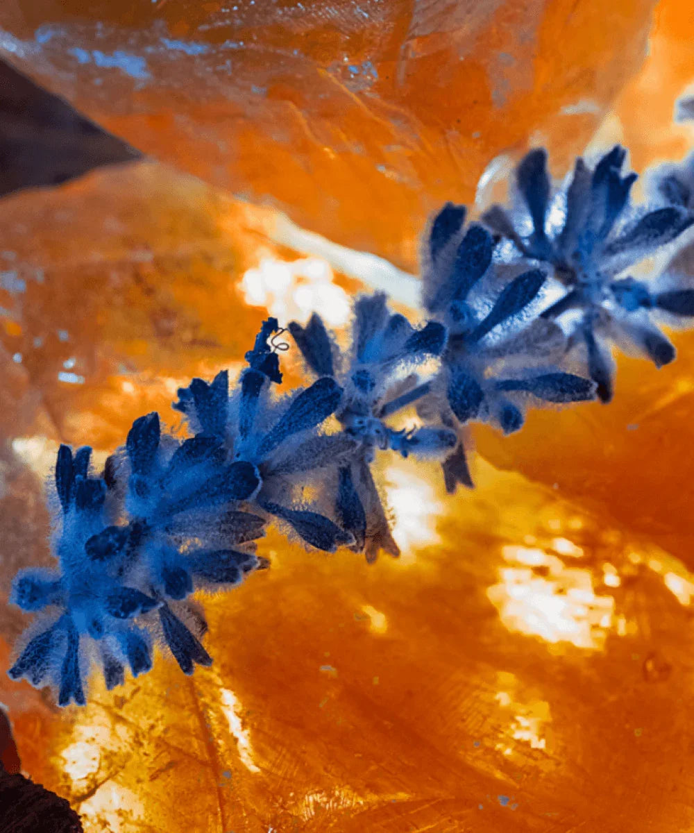 Ambre Millénaire 100ml Extrait de Parfum