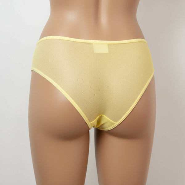 X-Ray Brazilian Briefs
