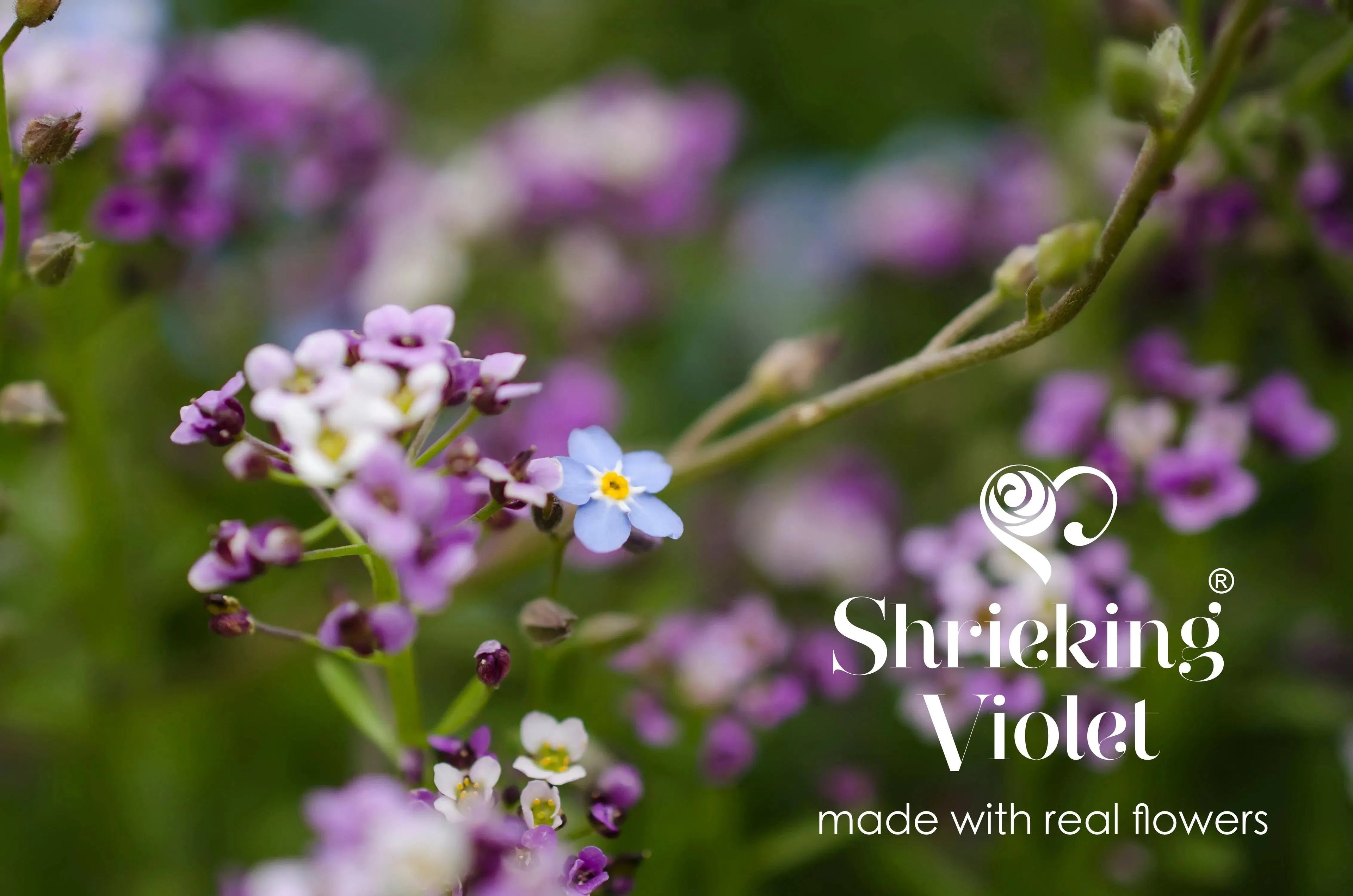 Sterling silver round pendant with real flowers by Shrieking Violet®